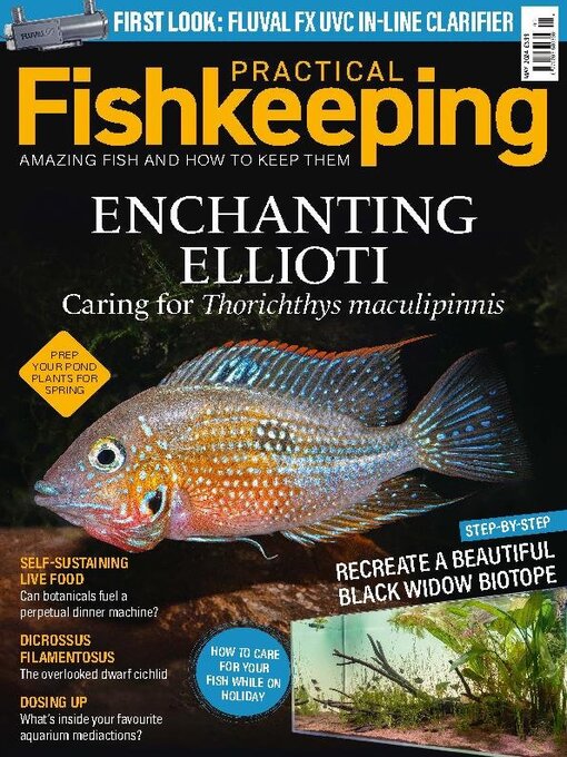 Title details for Practical Fishkeeping by Warners Group Publications Plc - Available